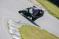 enduro-digital-images;event-digital-images;eventdigitalimages;lydden-hill;lydden-no-limits-trackday;lydden-photographs;lydden-trackday-photographs;no-limits-trackdays;peter-wileman-photography;racing-digital-images;trackday-digital-images;trackday-photos